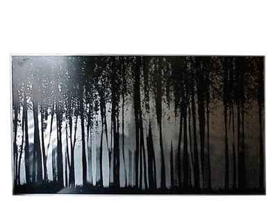 #Franco Fontana very big #panel series #wild" 80 x 32 inches 